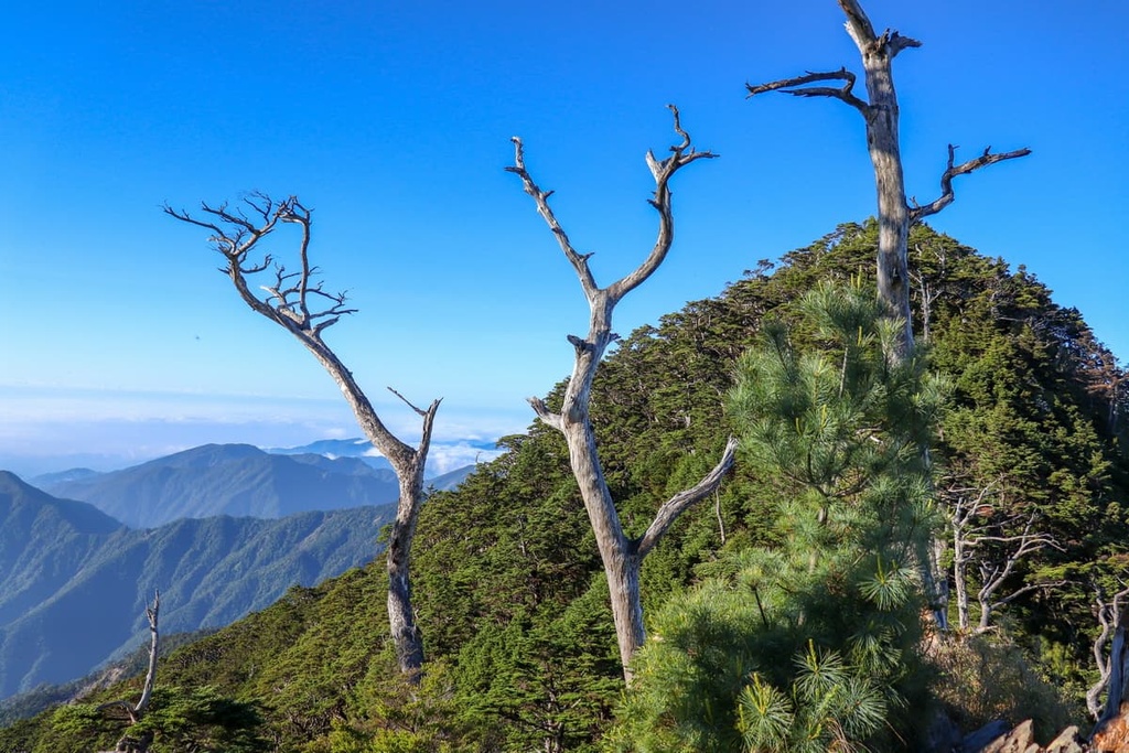 Beidawushan, Shuanggui Lake Major Wildlife Habitat, Taiwan