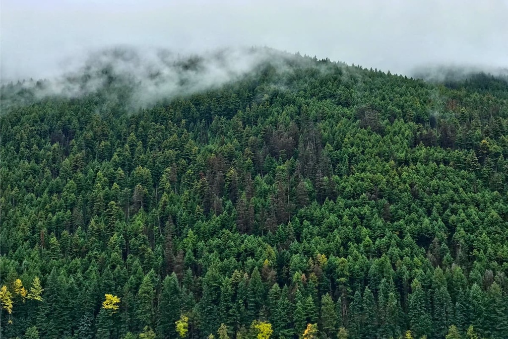 Shulaps Range, British Columbia