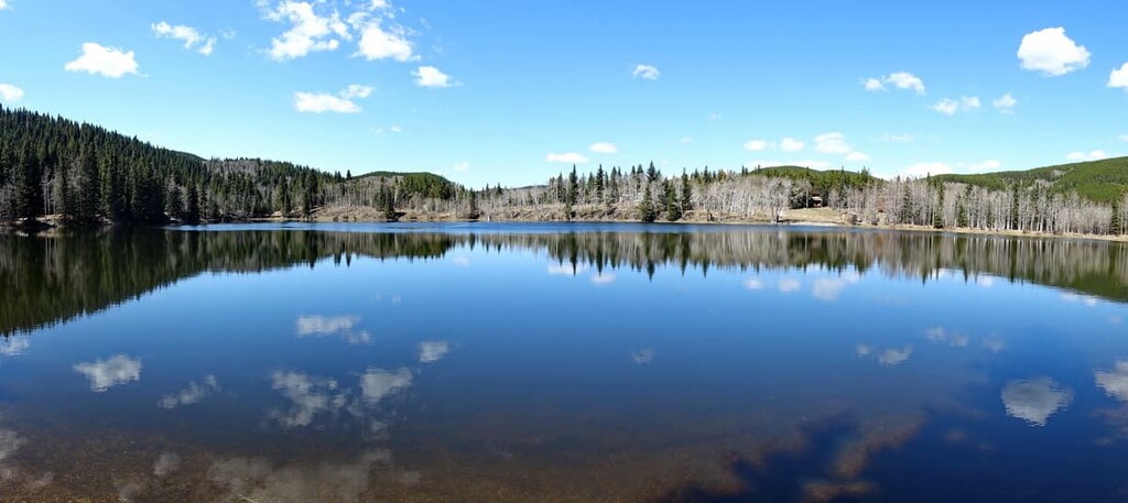 Sibbald Snow Vehicle Public Land Use Zone
