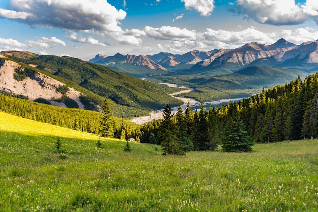 Sibbald Snow Vehicle Public Land Use Zone