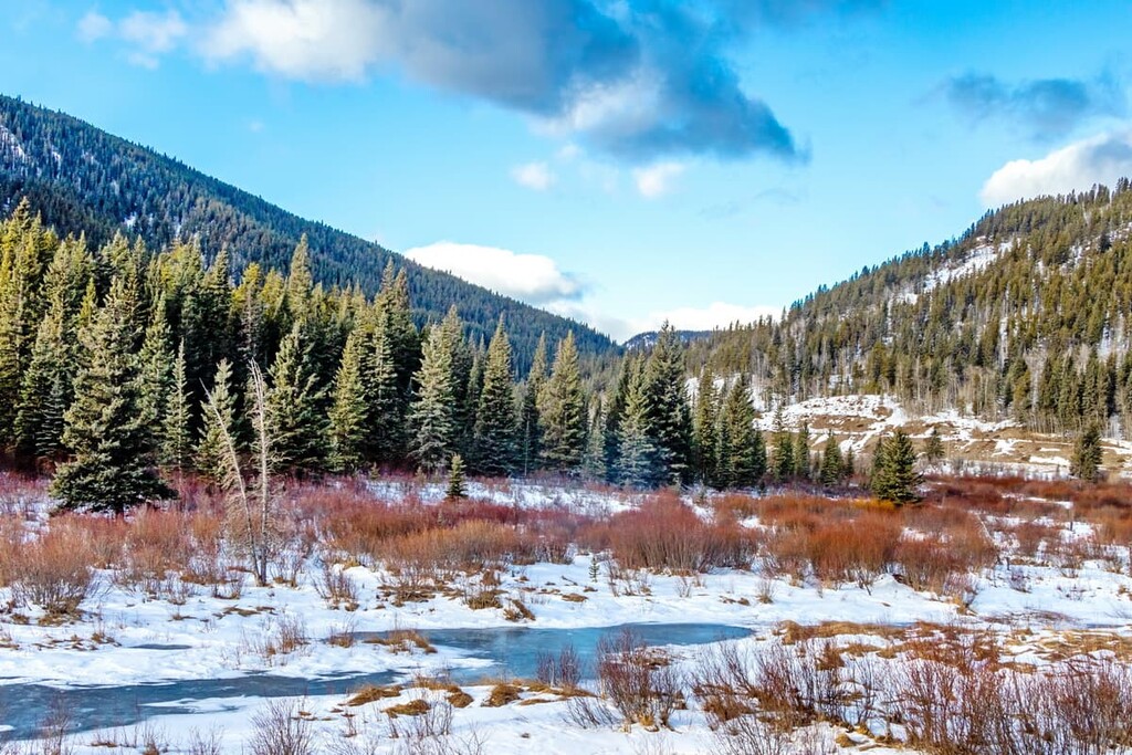 Sibbald Snow Vehicle Public Land Use Zone