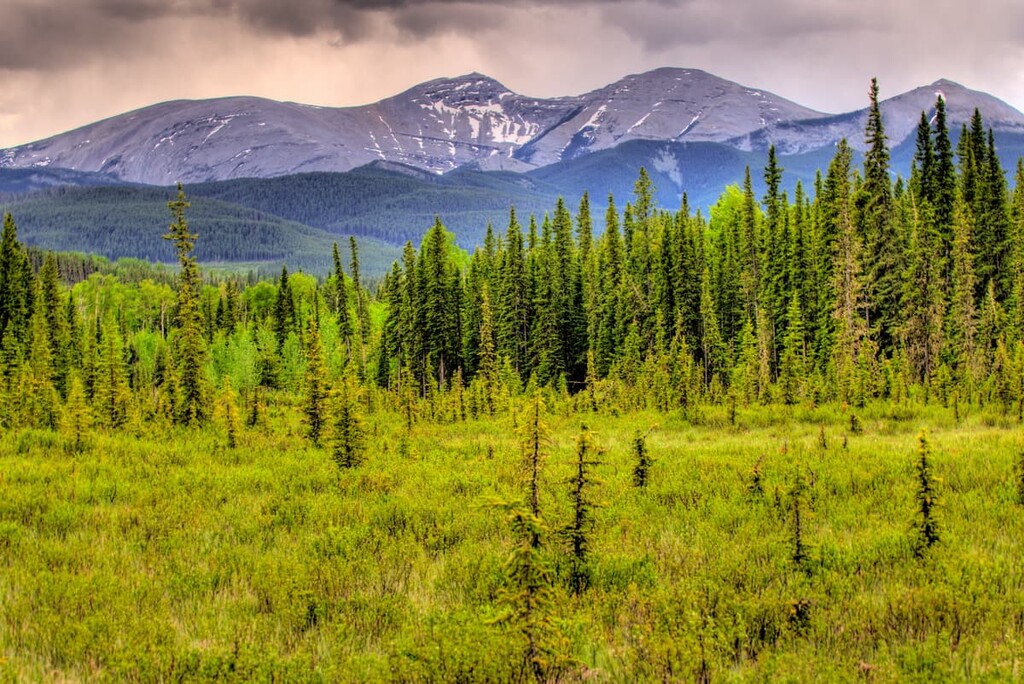 Sibbald Snow Vehicle Public Land Use Zone