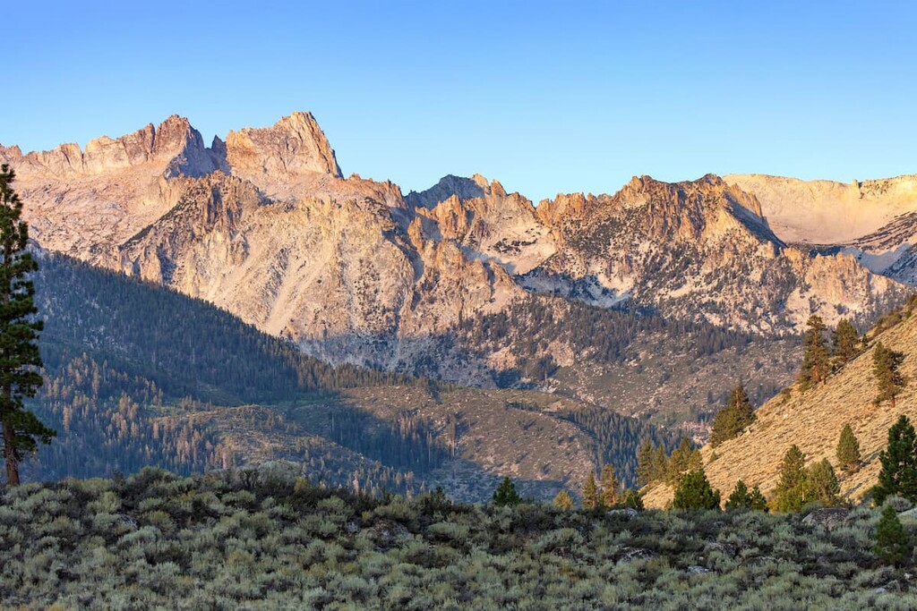 Humboldt–Toiyabe National Forest, California