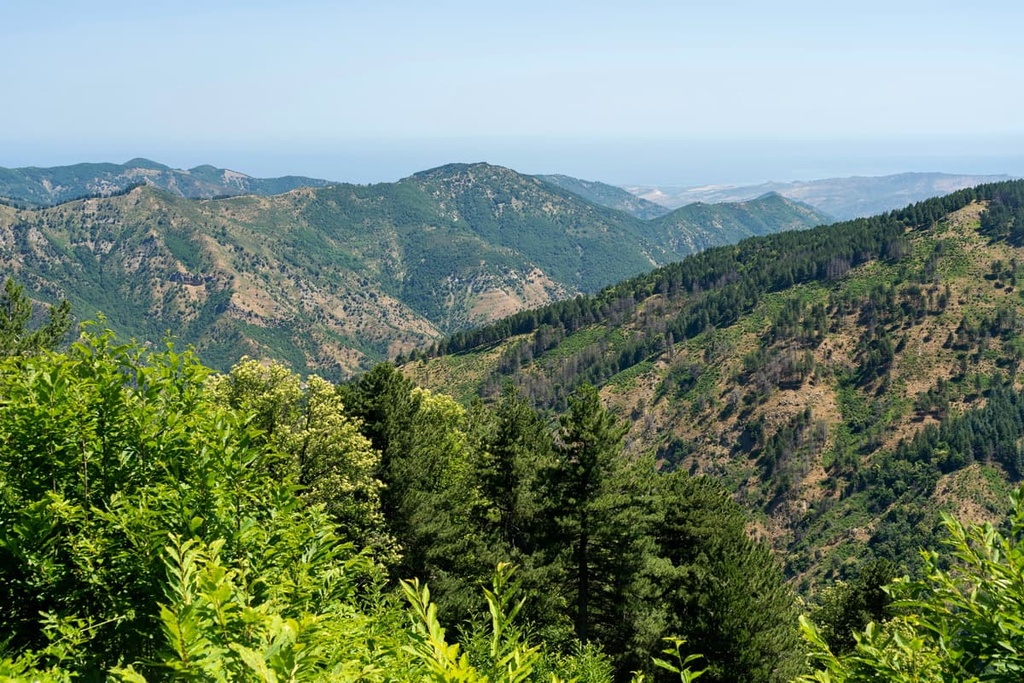 Sila National Park, Calabria, Italy
