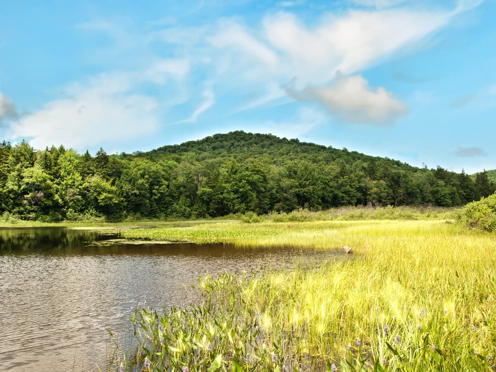Hamilton Mountain, Silver Lake Wilderness, New York