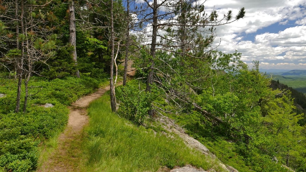 Silver Lake Wilderness, New York