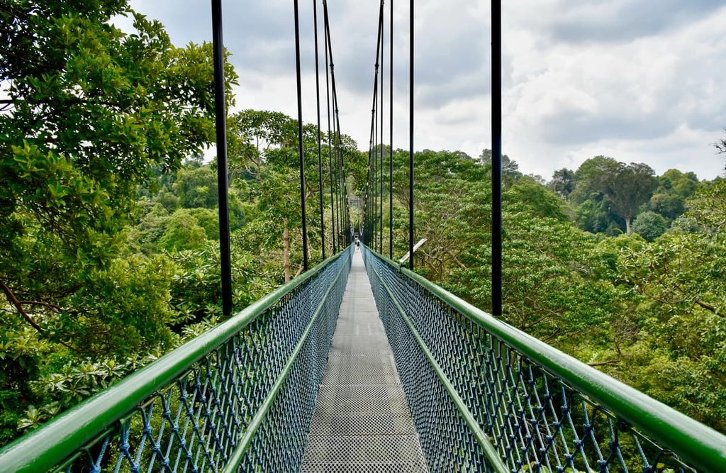 Central Catchment, Singapore