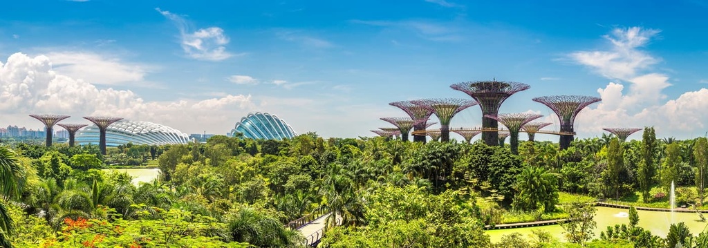 Supertree Grove at Gardens, Singapore
