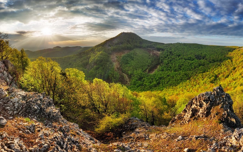 Carpathian forest, Mountain , Slovakia
