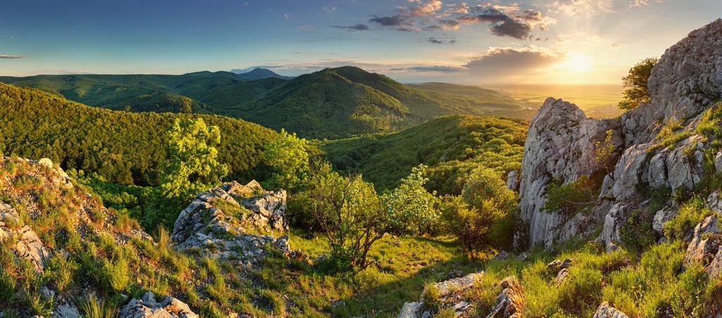 Mountain forest panorama Slovakia