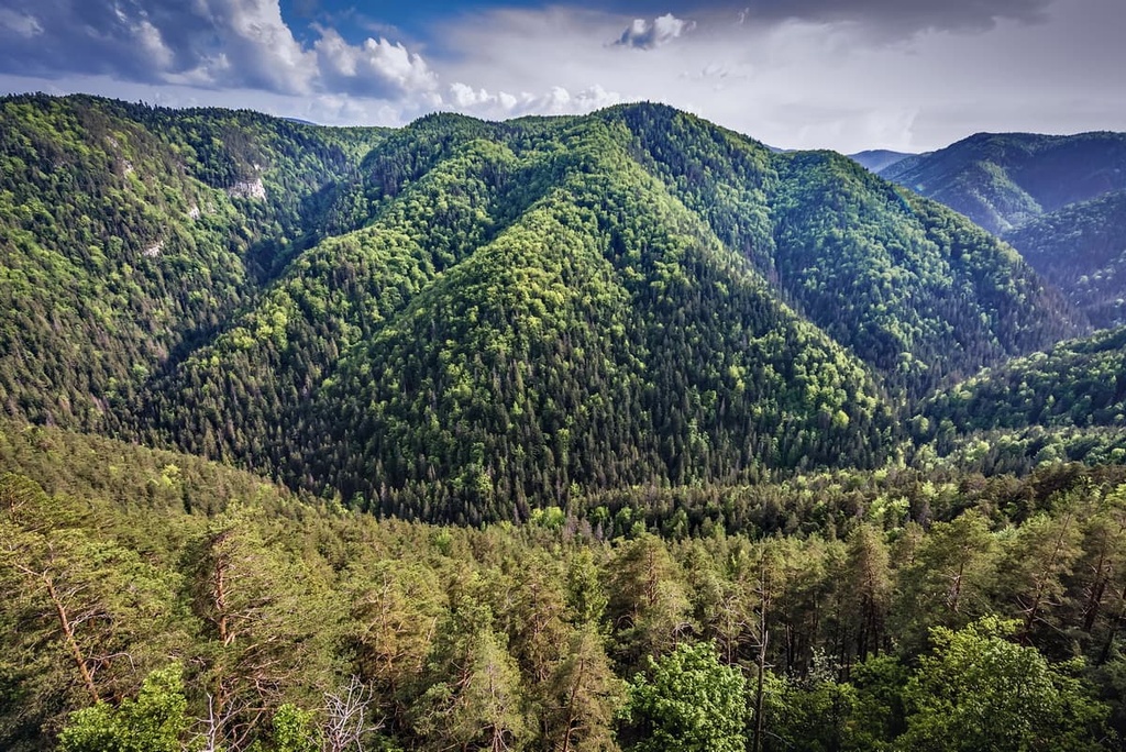 Slovakia Mountains