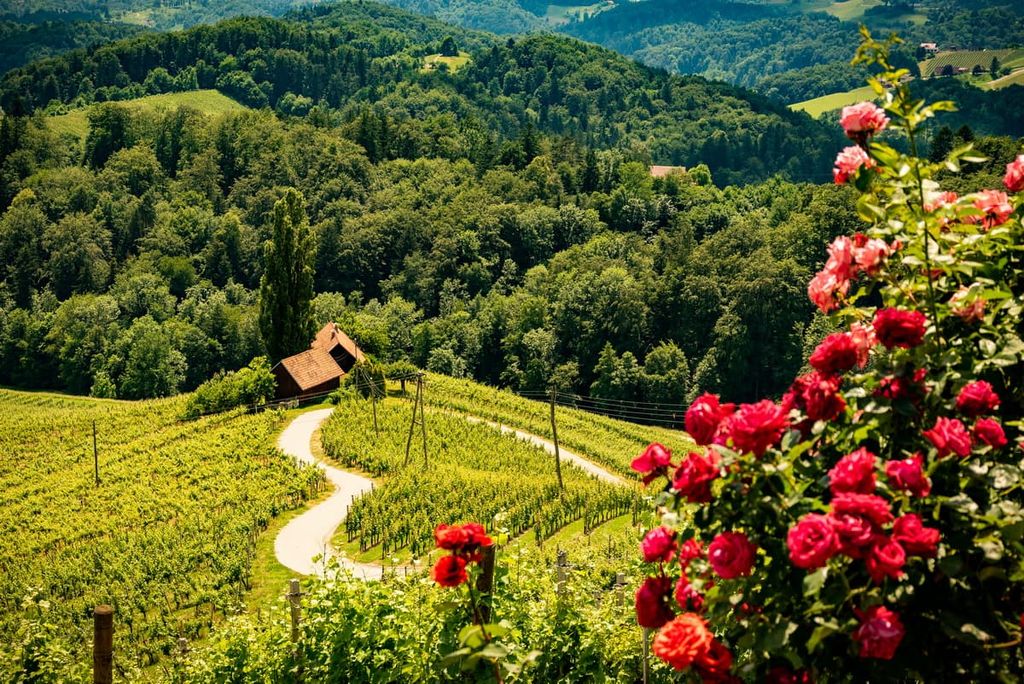 Herzerl Strasse, Slovenia