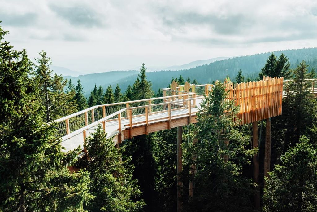 Pohorje Treetop Walk, Rogla, Slovenia