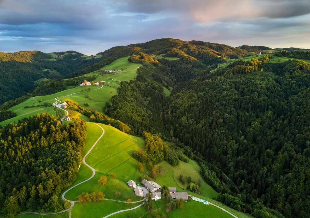 Forest aerial, Slovenia