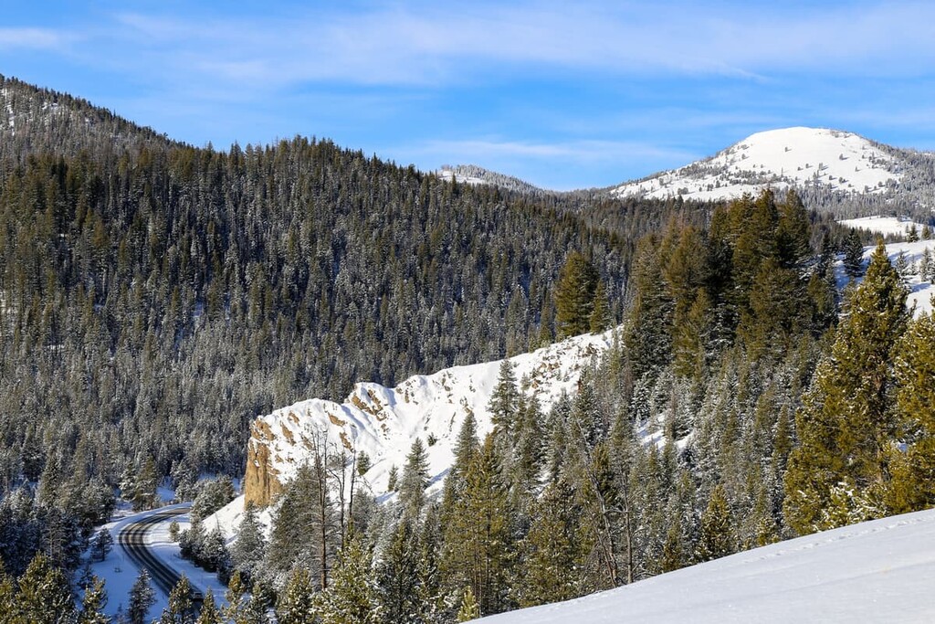 Forest, Smoky Mountains, Idaho