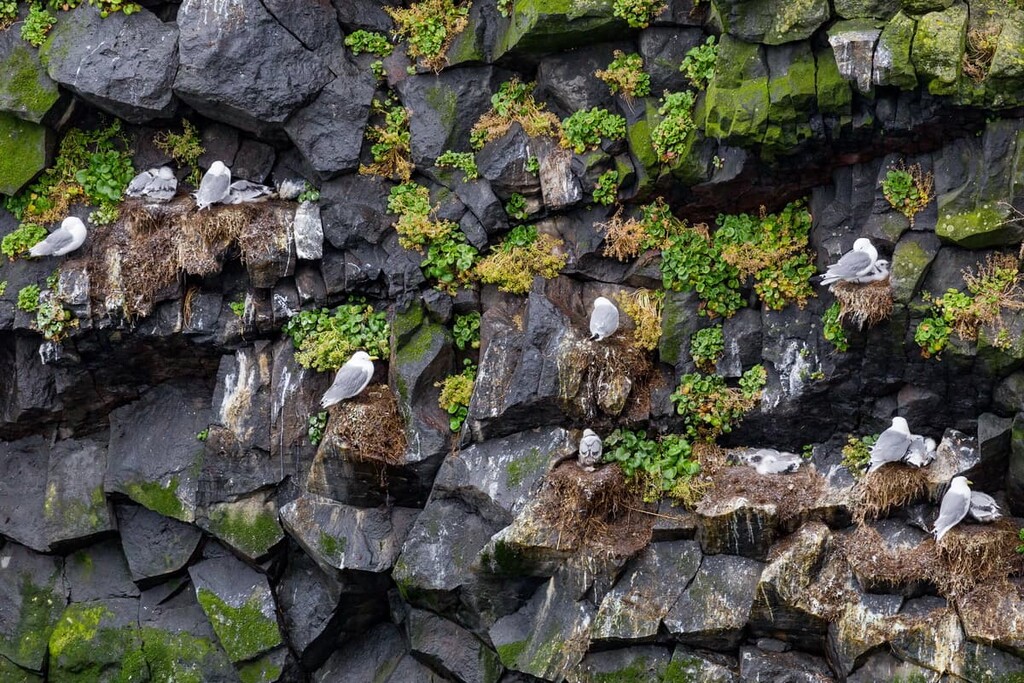 Snæfellsjökull National Park