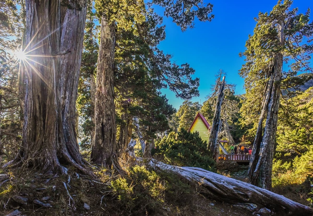 Syuebei Shelter, Snow Mountain and Dabajian Mountain Ecological Reserve, Taiwan