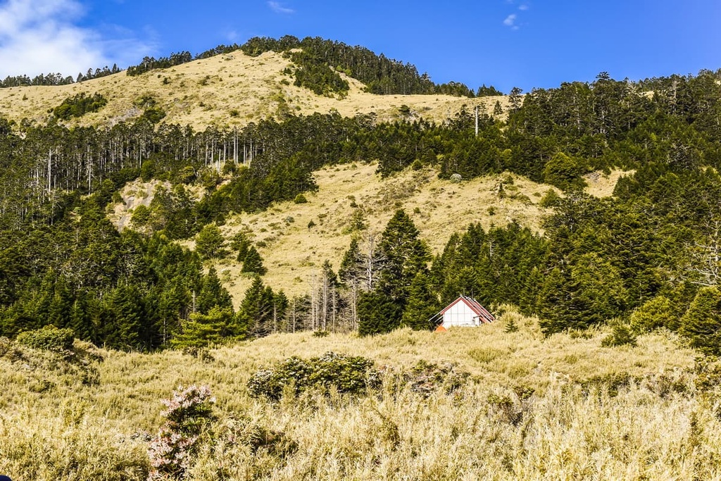 Wuling Quadruple, Snow Mountain and Dabajian Mountain Ecological Reserve, Taiwan