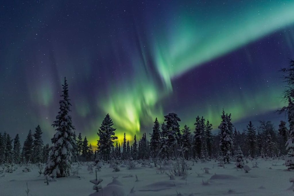 Northern lights, Sompio Strict Nature Reserve, Finland