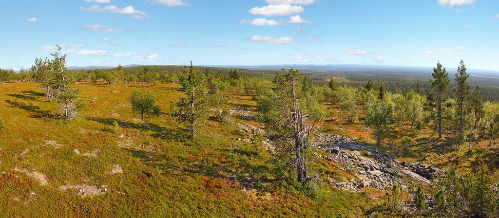 Sompio Strict Nature Reserve, Finland