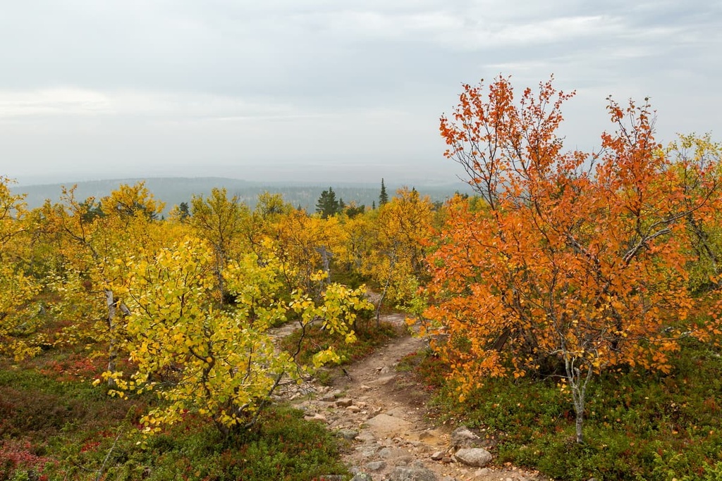 Sompio Strict Nature Reserve, Finland