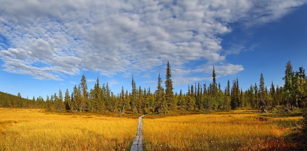 Sompio Strict Nature Reserve, Finland