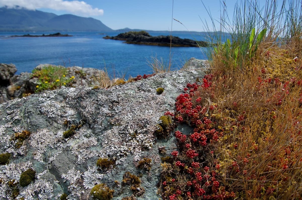 Nuchatlitz Provincial Park, Sophia Range, British Columbia