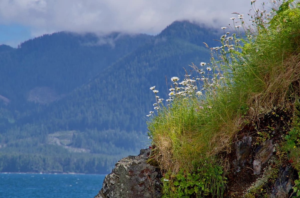 Nuchatlitz Provincial Park, Sophia Range, British Columbia