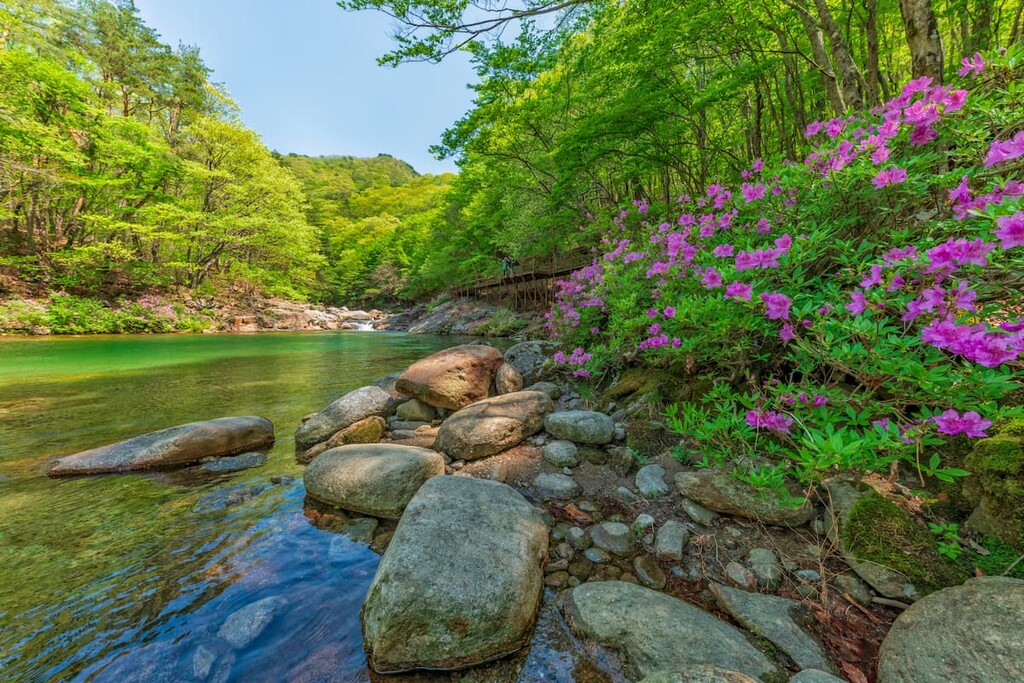 Jirisan National Park, South Korea