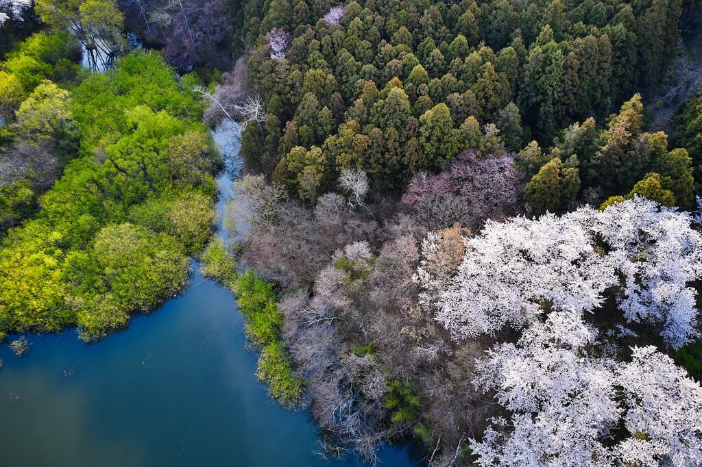 Yongbiji Reservoir, South Korea