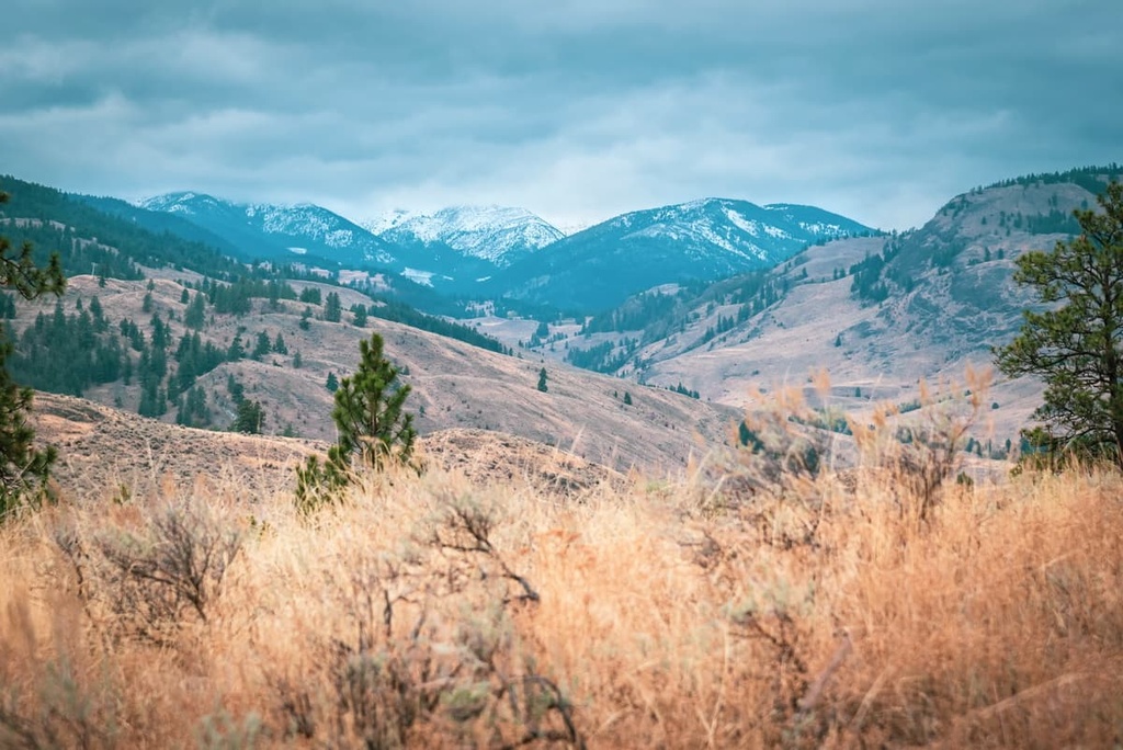 South Okanagan Grasslands Protected Area, British Columbia