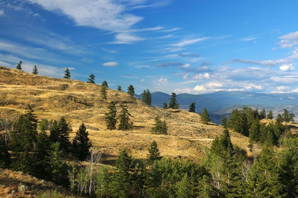 South Okanagan Grasslands Protected Area, British Columbia