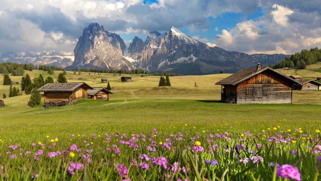 South Tyrol, Alpe di Siusi, Italy