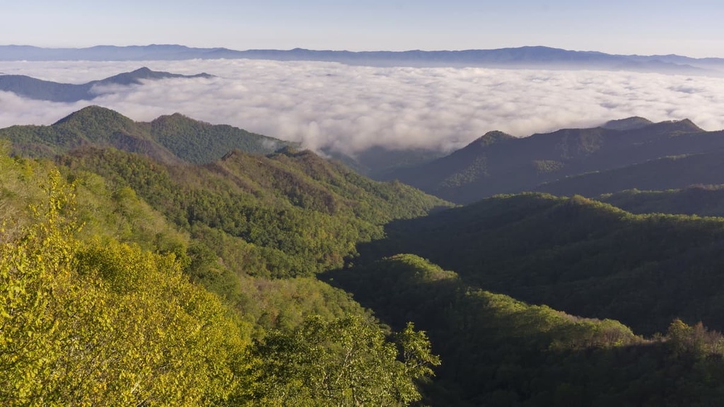 Southern Nantahala Wilderness, North Carolina