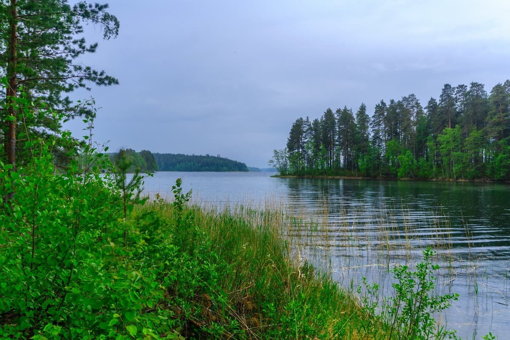 Southern Savonia, Finland