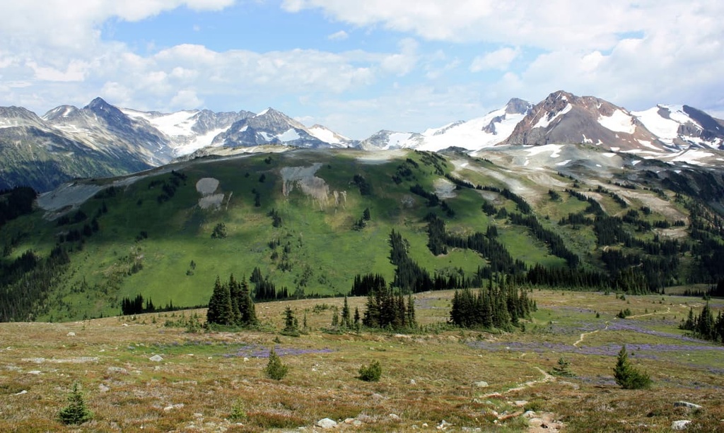 Blackcomb, Spearhead Range, British Columbia