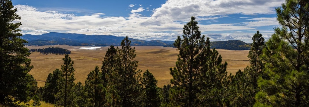 Springerville, Arizona