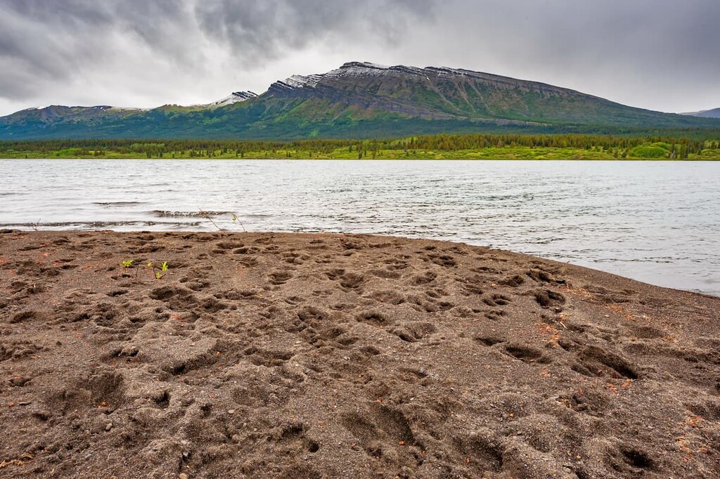 Spatsizi Plateau Wilderness Provincial Park. Stikine Region, British Columbia