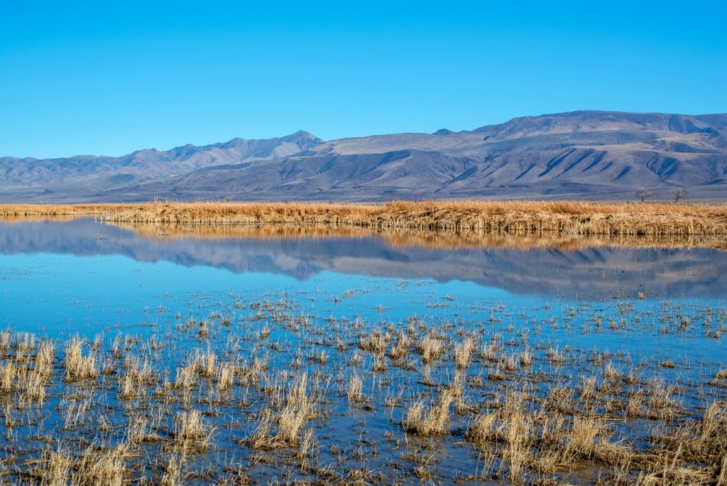 Stillwater Range, Nevada