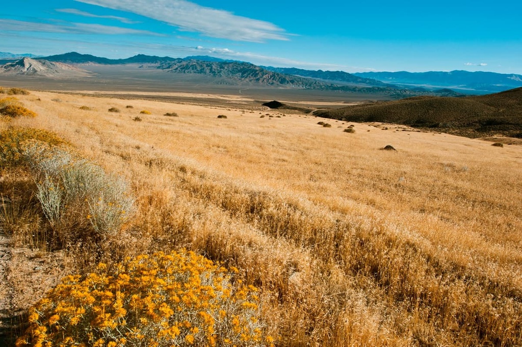 Stillwater Range, Nevada