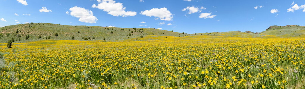 Agricultural Sublett Range, Idaho