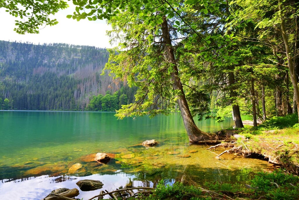 Black lake (Cerne jezero), Sumava National Park, Czech Republic