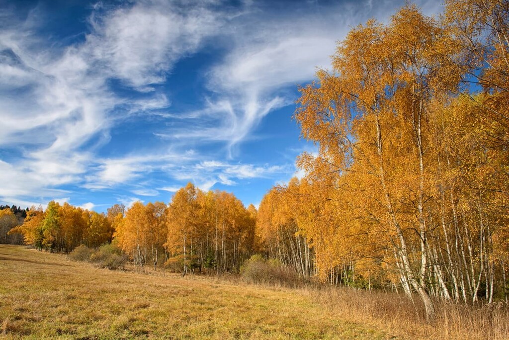 Sumava National Park, Czech Republic