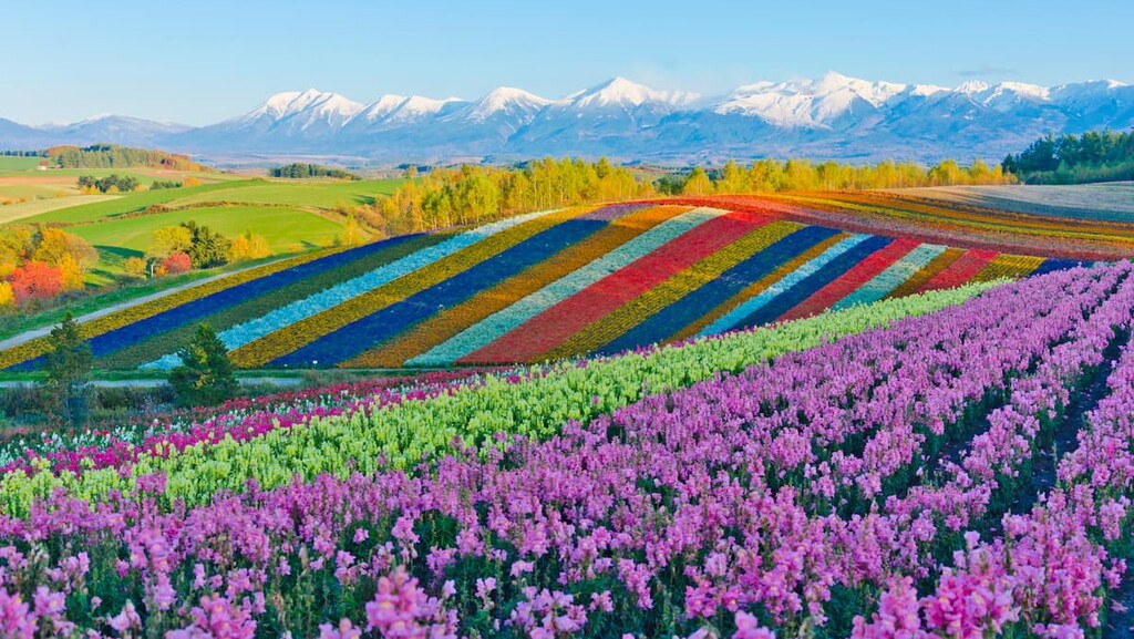 Hokkaido social and geographical conditions and 20 best things to do in Hokkaido japan