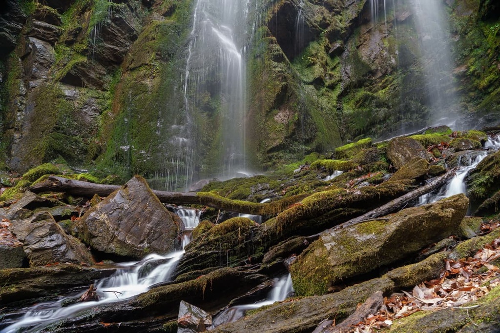 Lee Falls, South Carolina