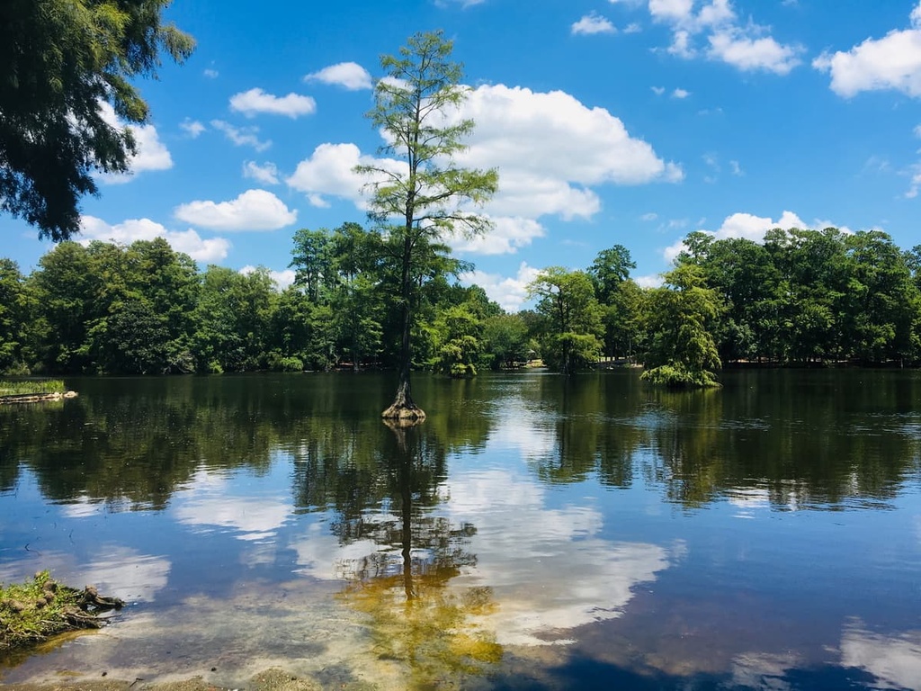 Sumter National Forest, South Carolina