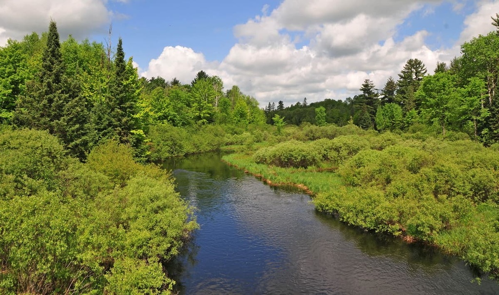 Chequamegon-Nicolet, Superior Upland, US