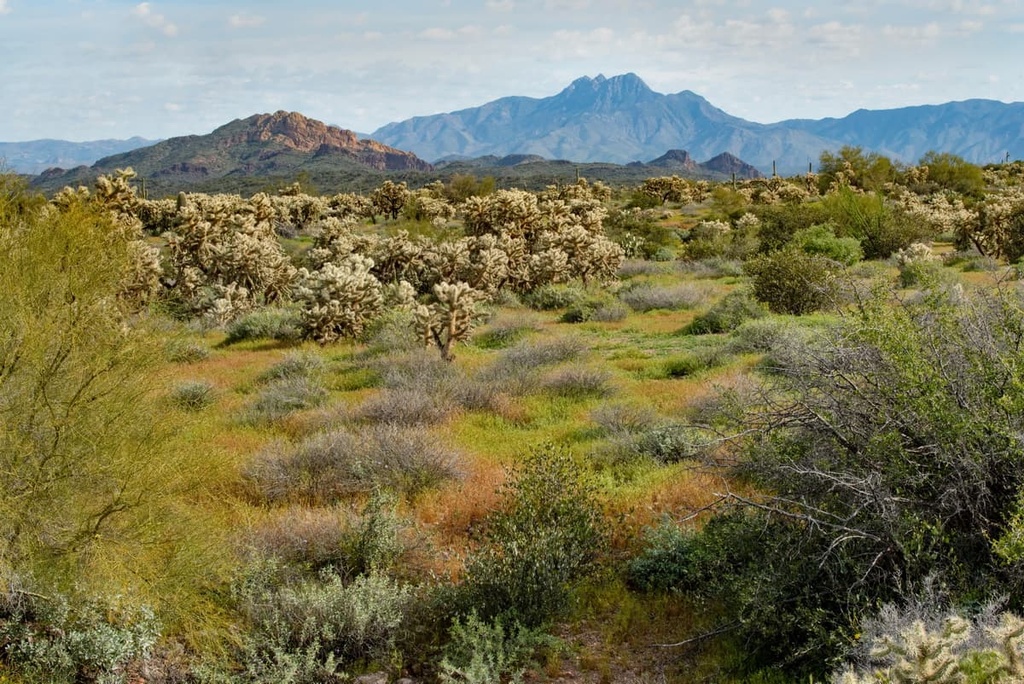 Superstition Wilderness, Arizona