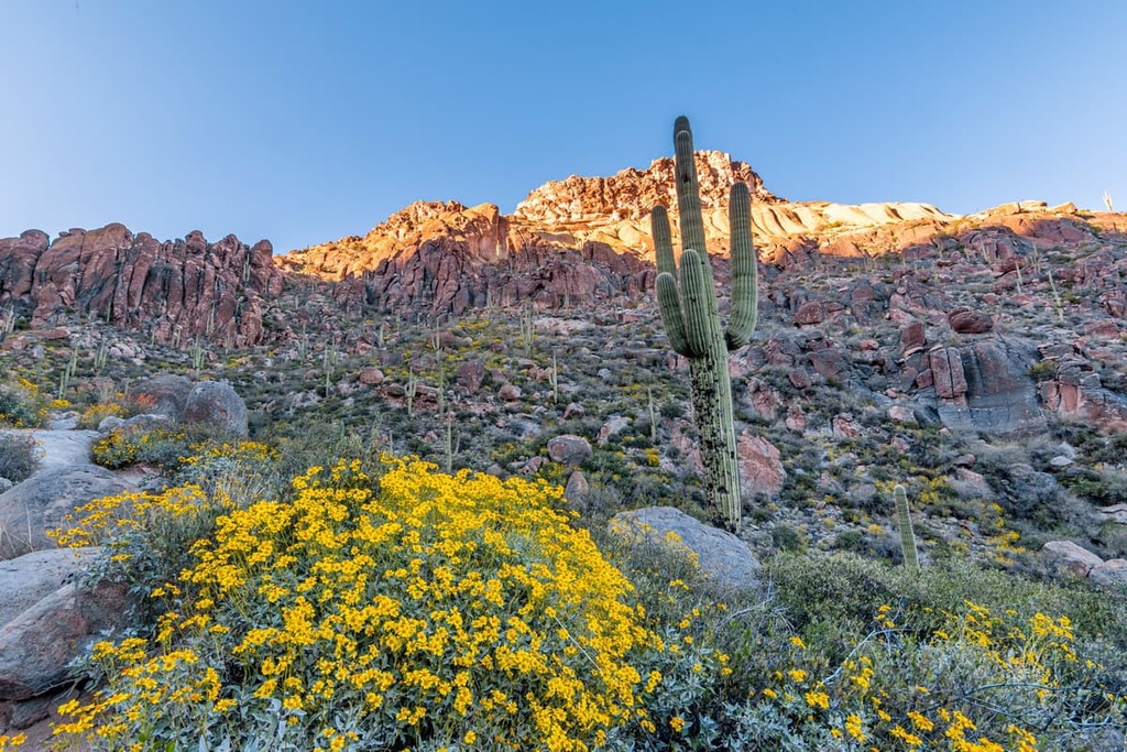 Superstition Wilderness, Arizona