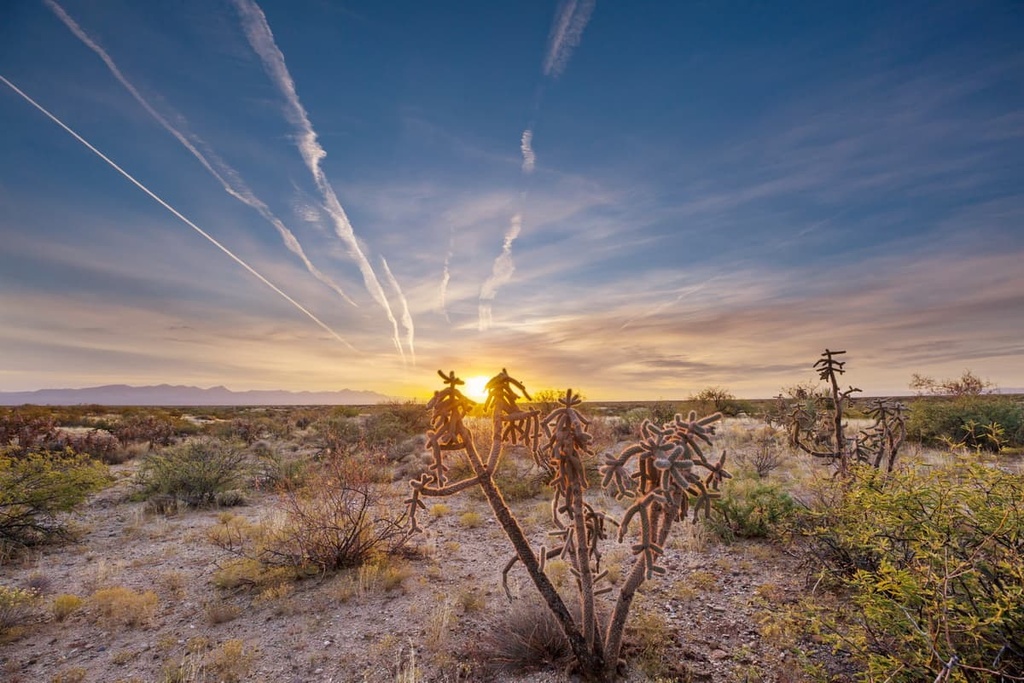 Superstition Wilderness, Arizona